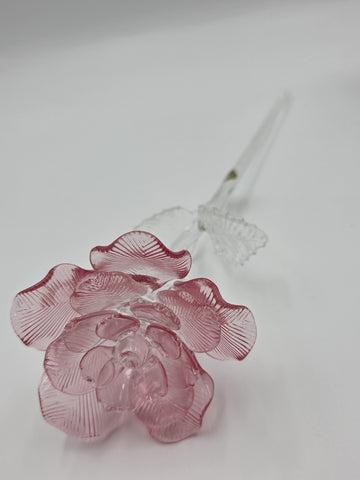 NEW Waterford Lismore Crystal FLEUROLOGY 14.5" Pink Rose - Sculptured Flower.