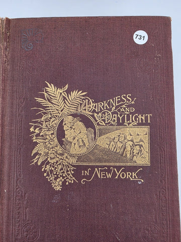 Darkness & Daylight Lights & Shadows of New York Life 1893 A D Worthington & Co