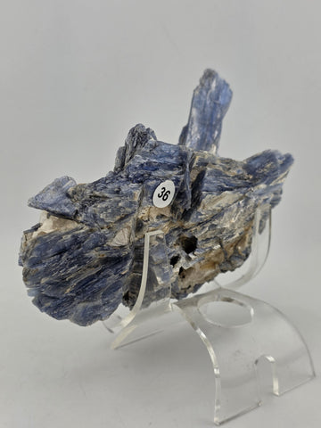 Large Blue Kyanite Crystal Cluster with Quartz Matrix Display. 1 Lb 6 Oz.