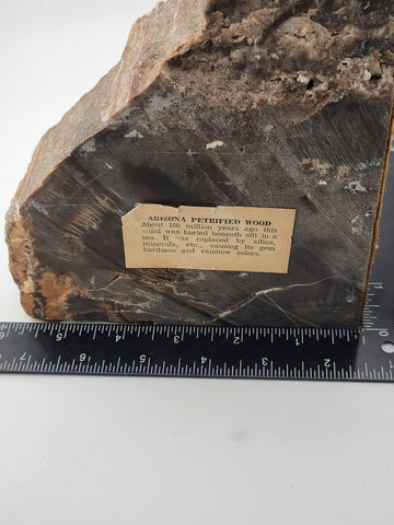 Vintage & Unique Set Of Polished Petrified Wood Bookends. Amazing Specimen.