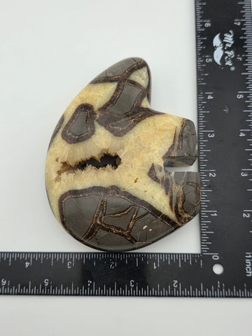 Septarian Nodule Bear Large Figurine Hand Carved Dragon Stone Crystal Sculpture