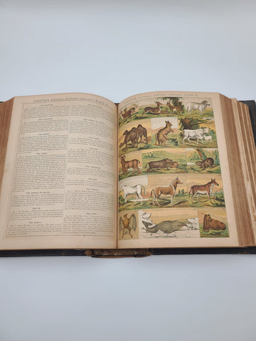 Rare Antique 1870's Illustrated Family Holy Bible W 1400 Engravings &Handwriting