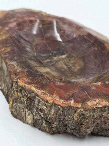 Rare Set of 3 Vintage Polished Petrified Wood Ashtrays / Catchall Bowls"