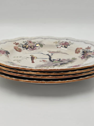 Rare Set Of 4 Antique C1910 Masons Ironstone Paynsley Plates Bird Floral England