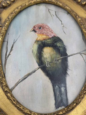 Antique Gilt Baroque Style Wood Framed Bird Painting On Wooden Oval Panel Decor.