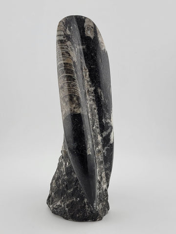 Natural Crystal Cluster Quartz Mineral Specimen Stone Hand Carved Fish Art Decor