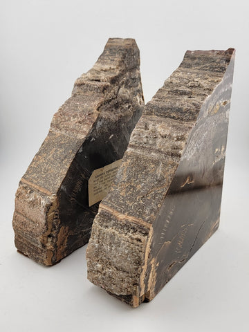 Vintage & Unique Set Of Polished Petrified Wood Bookends. Amazing Specimen.