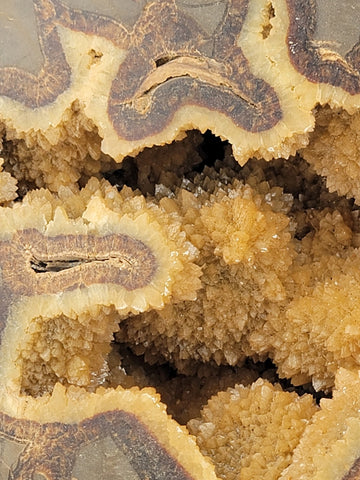 Incredible Genuine Septarian Crystal-filled Geode - 8" high