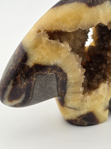 Septarian Nodule Bear Large Figurine Hand Carved Dragon Stone Crystal Sculpture