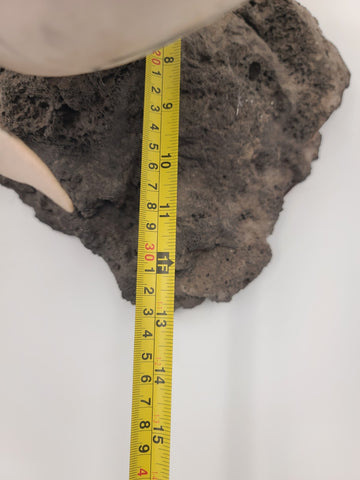 Rare Large Signed NLW Ltd Edition Stone Dolphin Sculpture 132/200 on Lava Base