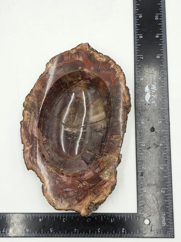 Rare Set of 3 Vintage Polished Petrified Wood Ashtrays / Catchall Bowls"