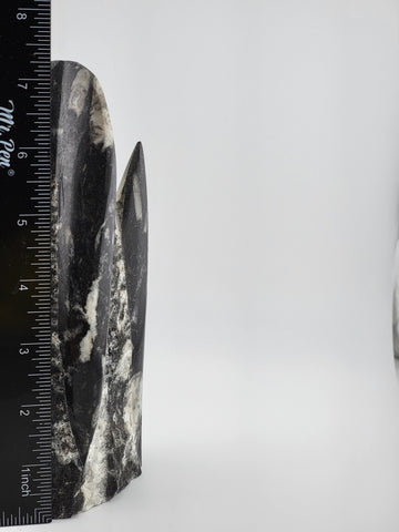 Natural Crystal Cluster Quartz Mineral Specimen Stone Hand Carved Fish Art Decor