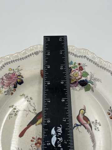 Rare Set Of 5 Antique C1910 Masons Ironstone Paynsley Plates Bird Floral England