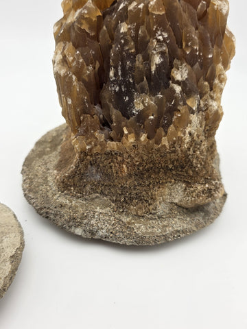 2 Natural Honey Brown Crystal Mineral Clusters Barite on Concrete Display Bases