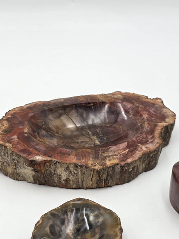 Rare Set of 3 Vintage Polished Petrified Wood Ashtrays / Catchall Bowls"