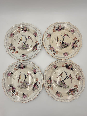 Rare Set Of 4 Antique C1910 Masons Ironstone Paynsley Plates Bird Floral England