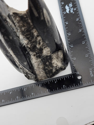 Natural Crystal Cluster Quartz Mineral Specimen Stone Hand Carved Fish Art Decor