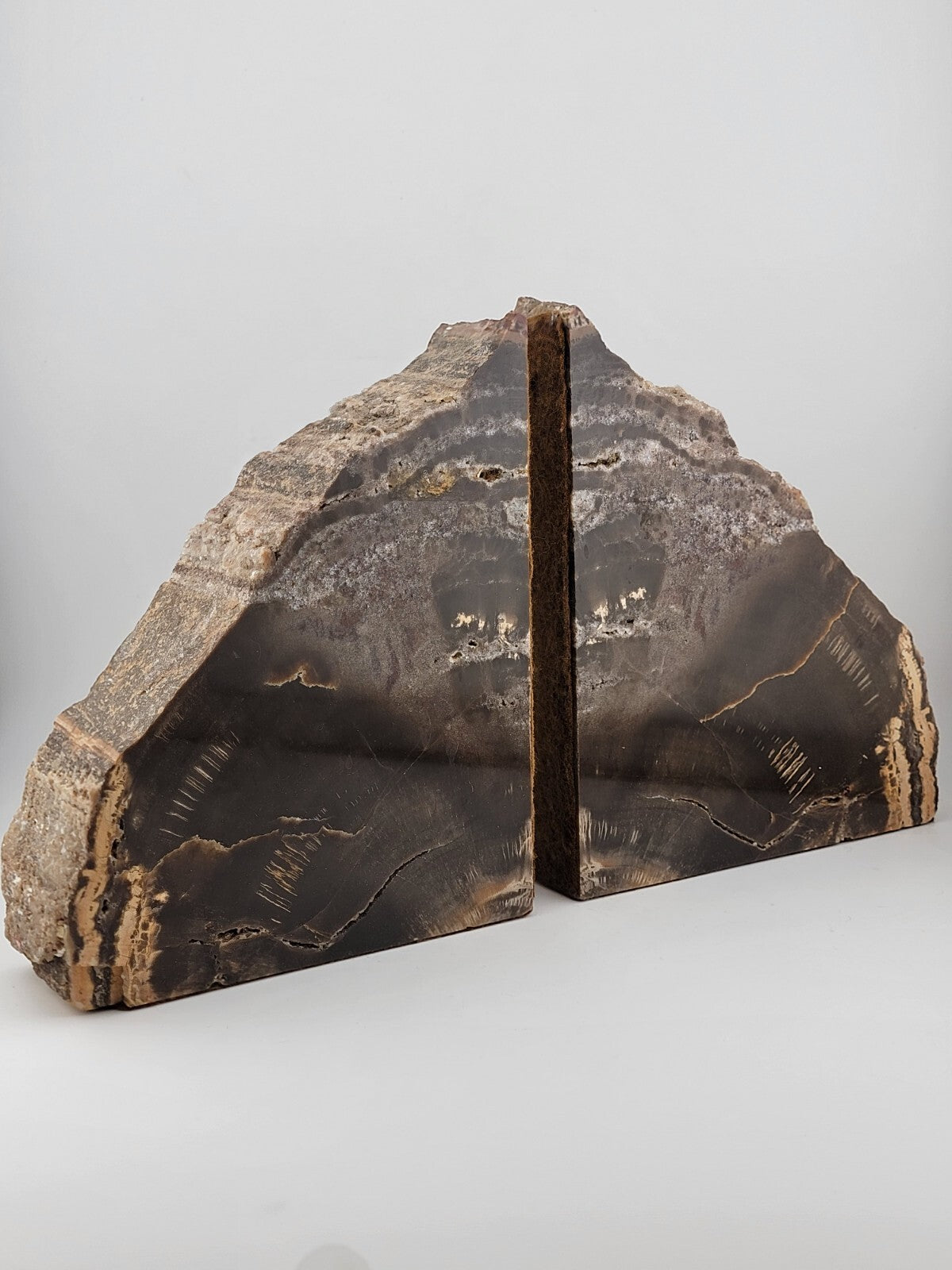 Vintage & Unique Set Of Polished Petrified Wood Bookends. Amazing Specimen.