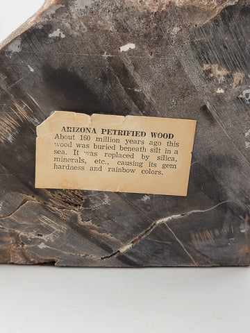 Vintage & Unique Set Of Polished Petrified Wood Bookends. Amazing Specimen.
