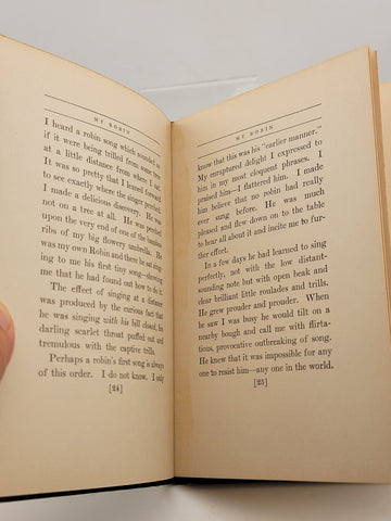 Antique MY ROBIN Frances Hodgson Burnett (1912) 1st U.S. Edition, 1st Printing.