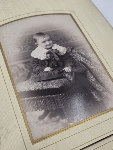 ANTIQUE 19TH C VICTORIAN ORANGE VELVET CABINET PHOTO FAMILY ALBUM. FULL PICTURES