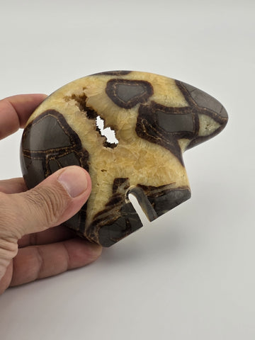 Septarian Nodule Bear Large Figurine Hand Carved Dragon Stone Crystal Sculpture