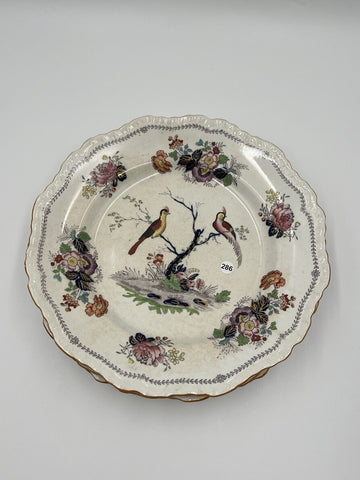 Rare Set Of 5 Antique C1910 Masons Ironstone Paynsley Plates Bird Floral England