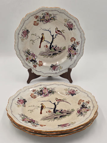 Rare Set Of 4 Antique C1910 Masons Ironstone Paynsley Plates Bird Floral England