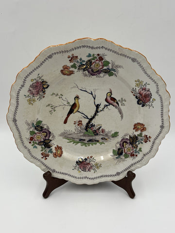 Rare Set Of 5 Antique C1910 Masons Ironstone Paynsley Plates Bird Floral England