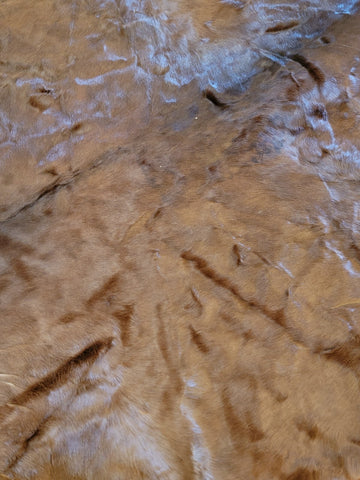 Vintage Horse Hide Lap Robe By National Fur & Tanning Co. Very Clean & Shiny.