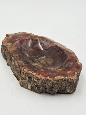 Rare Set of 3 Vintage Polished Petrified Wood Ashtrays / Catchall Bowls"