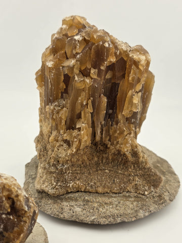 2 Natural Honey Brown Crystal Mineral Clusters Barite on Concrete Display Bases