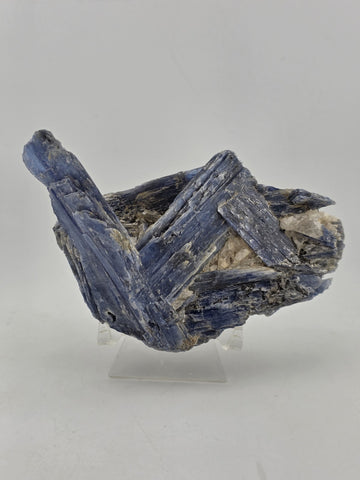 Large Blue Kyanite Crystal Cluster with Quartz Matrix Display. 1 Lb 6 Oz.