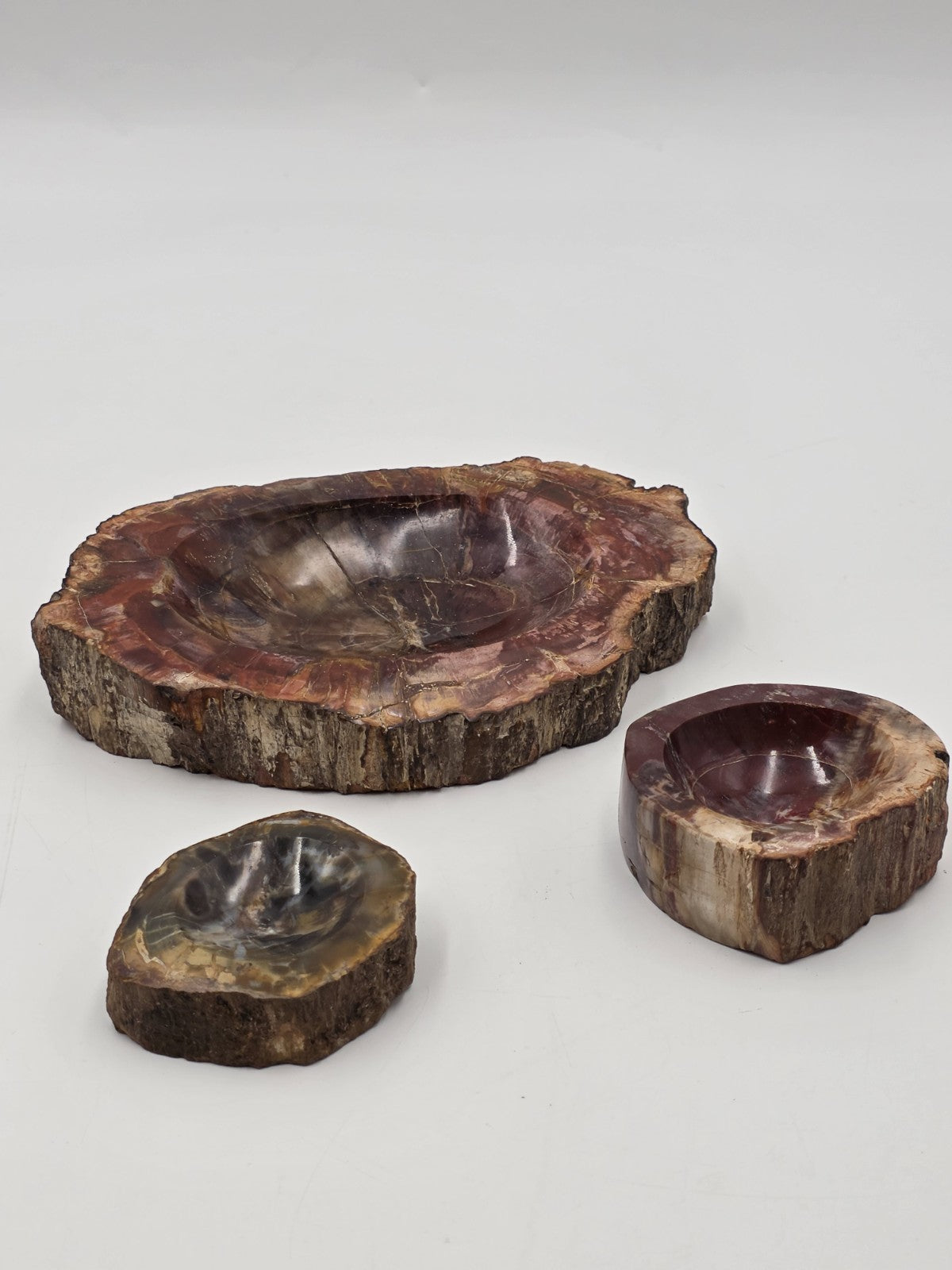 Rare Set of 3 Vintage Polished Petrified Wood Ashtrays / Catchall Bowls"
