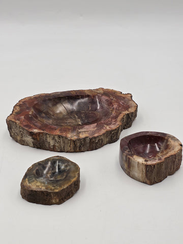 Rare Set of 3 Vintage Polished Petrified Wood Ashtrays / Catchall Bowls"