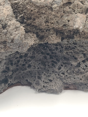 Rare Large Signed NLW Ltd Edition Stone Dolphin Sculpture 132/200 on Lava Base