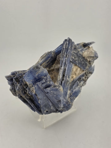 Large Blue Kyanite Crystal Cluster with Quartz Matrix Display. 1 Lb 6 Oz.