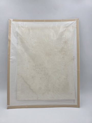 Pulpit in St. Gudule” 19th C British Lithograph Day & Son Queen’s Printer. 20x16