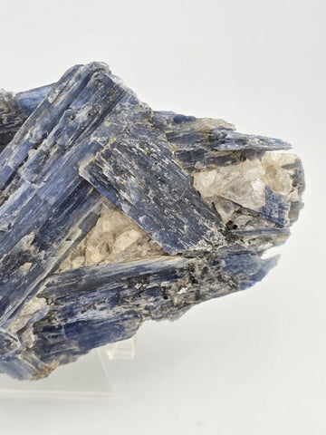 Large Blue Kyanite Crystal Cluster with Quartz Matrix Display. 1 Lb 6 Oz.