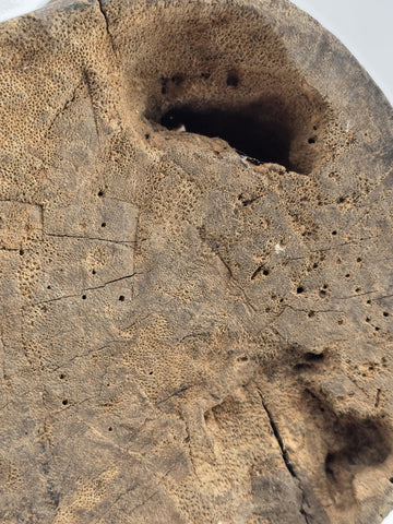 Antique Authentic African Songye Style Tribal Carved Wooden Head Sculpture 9 in