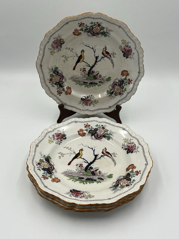 Decorative Plates