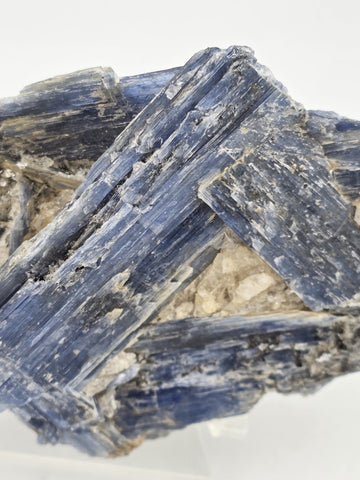 Large Blue Kyanite Crystal Cluster with Quartz Matrix Display. 1 Lb 6 Oz.
