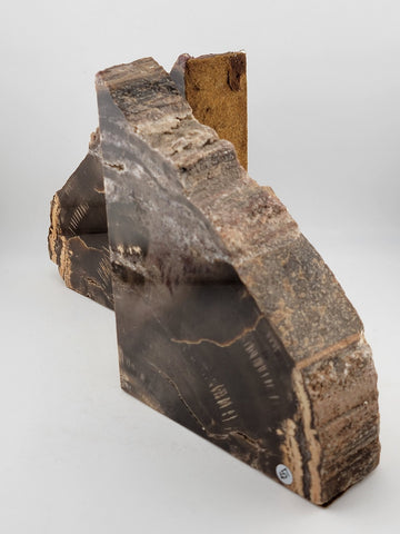 Vintage & Unique Set Of Polished Petrified Wood Bookends. Amazing Specimen.
