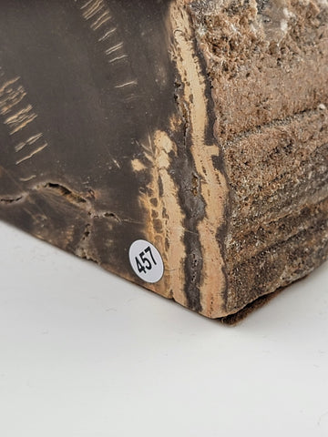 Vintage & Unique Set Of Polished Petrified Wood Bookends. Amazing Specimen.