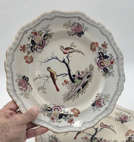 Rare Set Of 5 Antique C1910 Masons Ironstone Paynsley Plates Bird Floral England