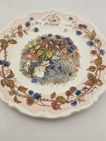 Collectible Royal Doulton Brambly Hedge Autumn Teacup/Coffee Mug & dessert plate