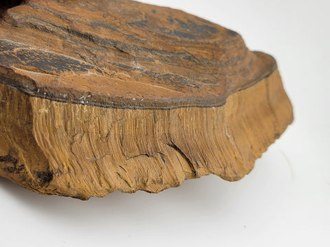 2LB Natural Tiger's Eye stone quartz crystal rough polished specimen healing.