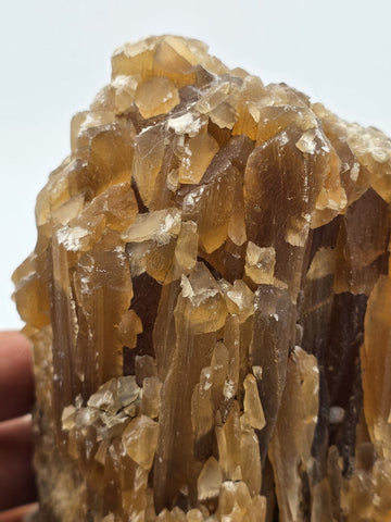 2 Natural Honey Brown Crystal Mineral Clusters Barite on Concrete Display Bases