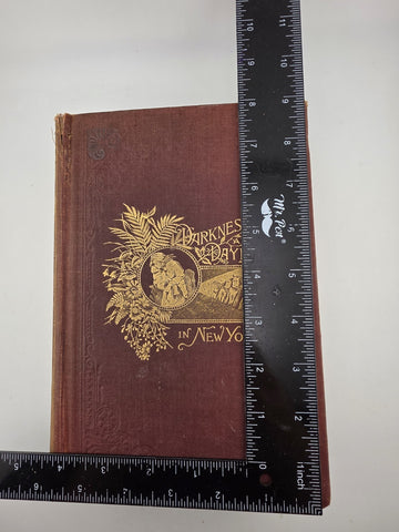 Darkness & Daylight Lights & Shadows of New York Life 1893 A D Worthington & Co