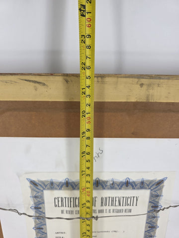 Patricia Govezensky Signed Limited Edition Serigraph 64/375 Framed Color W COA